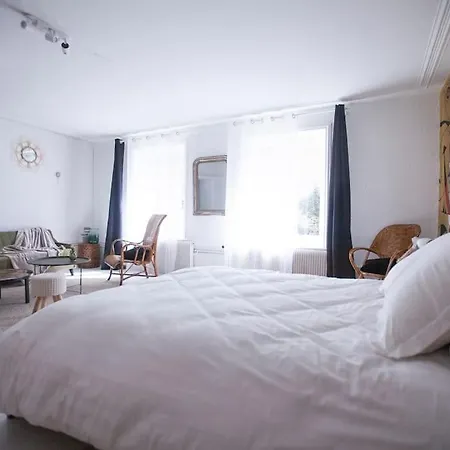 Le De La Cour Des Arts Apartment Saint-Die-des-Vosges