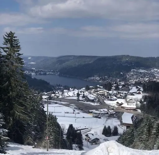 Appartement Le De La Cour Des Arts *