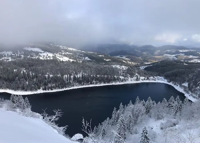 Appartement Le De La Cour Des Arts *