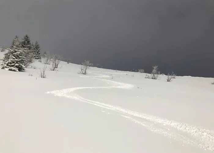 Le De La Cour Des Arts *